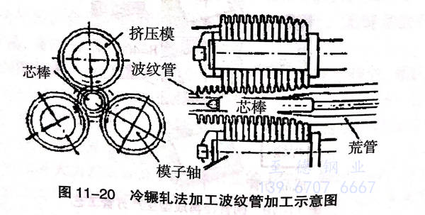 圖 20.jpg